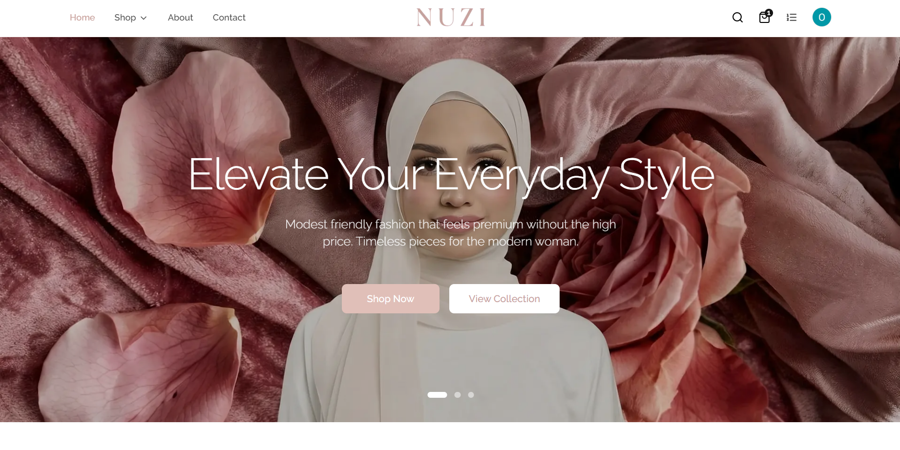 nuzii.co - Project view 1